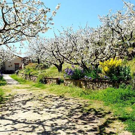 Casa Valeriana Villa Navaconcejo Eksteriør billede