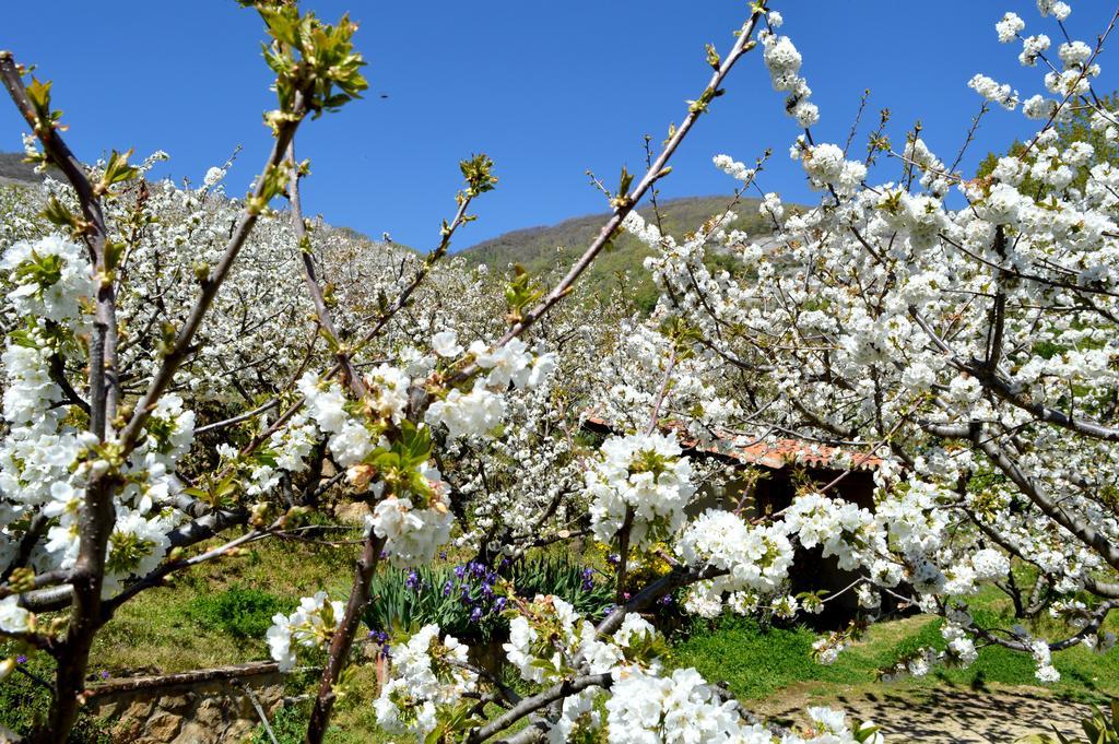 Casa Valeriana Villa Navaconcejo Eksteriør billede
