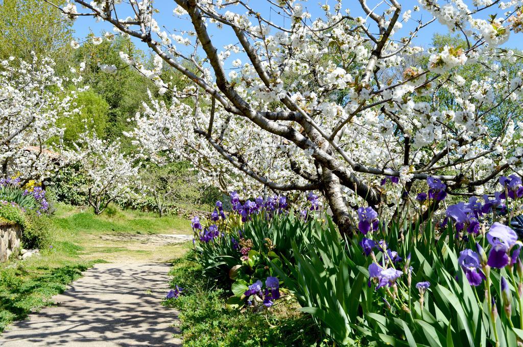 Casa Valeriana Villa Navaconcejo Eksteriør billede