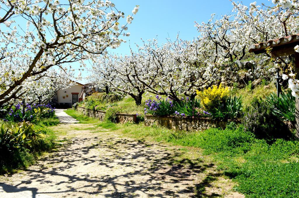 Casa Valeriana Villa Navaconcejo Eksteriør billede